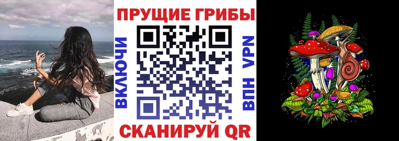 Псилоцибиновые грибы мухоморы  гидра вход  Оса 